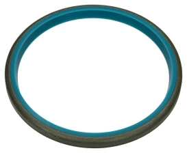 Zgarniacz CASE 695 SR (81875248)