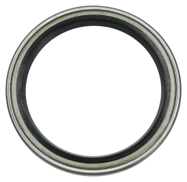 Uszczelnienie siłownika głównego BOBCAT E32