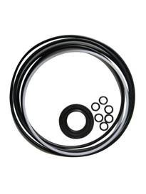 Zestaw uszczelnień silnika jazdy SCHAEFF HR32