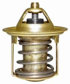 Termostat BOBCAT E20Z