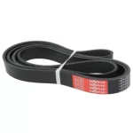 Pasek wieloklinowy CAT 551